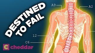 The Human Back Is A Design Disaster - Cheddar Explores