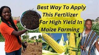 How to apply organic fertilizer to start maize farming in Ghana from scratch to make more profit