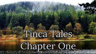 Tinca Tales  Chapter One  Tench fishing  Feeder fishing  How to target Tench