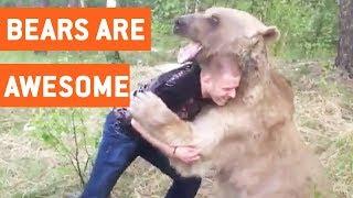 Funny Bears Video Compilation  JukinVideo