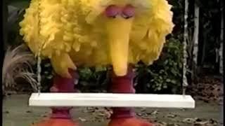 Sesame Street - Scenes from Episode 3551