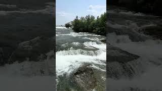 Niagara River Rapids  Nature #Shorts  Niagara Falls State Park  Waterfall Wednesday  View 9