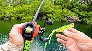 Catching GIANT Bass on FROGS in SMALL Pond