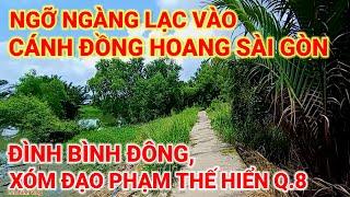 NGỠ NGÀNG  LẠC VÀO CÁNH ĐỒNG HOANG GIỮA SÀI GÒN  ĐÌNH BÌNH ĐÔNG XÓM ĐẠO PHẠM THẾ HIỂN QUẬN 8