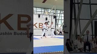 #Knockout - Davy Brand Netherlands  The 6th WKB European #Kyokushin #Karate Championship