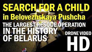 Search for a child in Bialowieza Forest. The largest rescue operation in Belarus. Drone video.