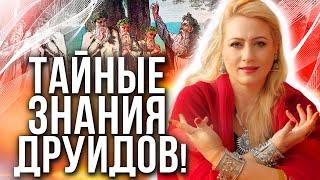 Какие знания хранит Ельзас? Места силы рядом с человеком.