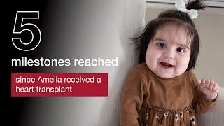 5 Milestones Reached Since Amelia Received a Heart Transplant  Counting on You