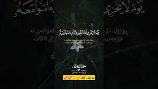 من روائع الشيخ سعد الغامدي قراءة خاشعة مؤثرة آيات #trending #فكرthought #القرآن_الكريم #فكر_المعرفة