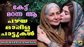 കേട്ട് മറന്ന ആ പഴയ മാപ്പിളപ്പാട്ടുകൾ  Old Mappila Pattukal Malayalam  Pazhaya Mappila Songs