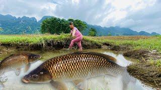 The girl used a puddle vacuum cleaner to catch fish to sell to make a living