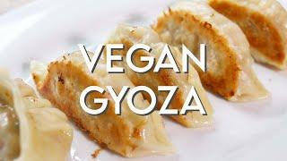 SIMPLE VEGAN GYOZA RECIPE  Tofu Ginger & Scallion Dumplings