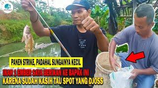 STRIKE BERKALI - KALI PANEN IKAN DI SUNGAI IRIGASI SAWAH