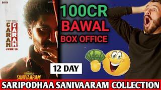 Saripodhaa Sanivaaram Movie 12 Day Box Office Collection  Shocking Collection