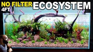 4ft Ecosystem Tank HUGE No Filter Aquarium With No Maintenance Aquascape Tutorial