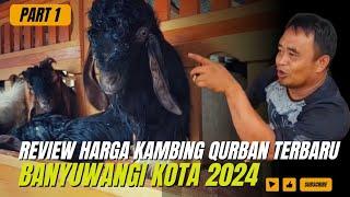 REVIEW HARGA KAMBING QURBAN TERBARUBANYUWANGI KOTA 2024