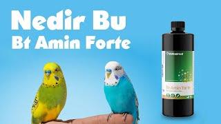 Bt Amin Forte Ne İşe Yarar ? Bt Amin Forte Nedir ? B Vitamini  #muhabbet