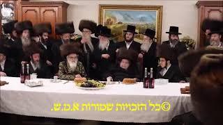 שמחת השבע ברכות לנכדת האדמור מויזניץ בבית גיסו האדמור מבעלזא