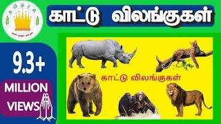 30 காட்டு விலங்குகள் Kattu vilangugal  30 Tamil Wild animals name video for Kids  Adipadai Tamil