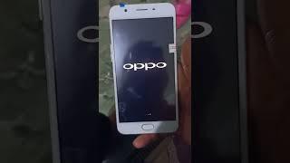 update OS Android 5.1 ke 6.0 Oppo  F1S