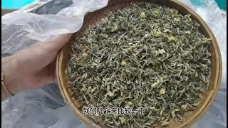 【茶小纯】茶店老板娘，拿出三款最具代表性的茉莉花茶，手把手教你分辨好坏