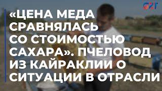 «Цена меда сравнялась со стоимостью сахара». Пчеловод из Кайраклии о ситуации в отрасли