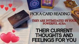 Their Current Feelings for You  Their Current Thoughts - Timeless Tarot Reading 