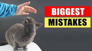 8 BIGGEST Mistakes Cat Owners Make