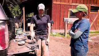 Farrier Nichole Burnett And Equine Vet Doc Jenni Talk Horse Shoes