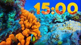 15 Minute 4K Aquarium Countdown with Relaxing Piano Music 