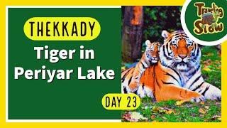 Episode 23 Periyar Lake boat to spot Tiger ll Chal Le Oye #TravelingSlow #shorts #dailyshorts
