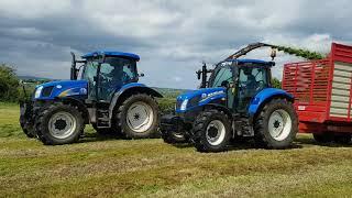 Silage 2021 - NH T6020 with Mengele SH40 trailed harvester