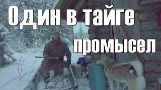 Промысел 2021один в тайгезимовьебытвдали от цивилизации #1