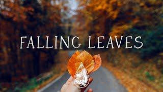 Falling Leaves  - An Autumn Aesthetic IndieFolkAcoustic Playlist