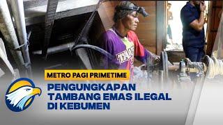 Tambang Emas Ilegal Berkedok Kebun Pepaya di Kebumen