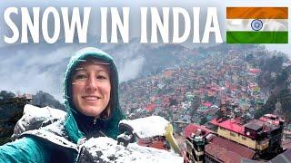 SHOCKED by SHIMLA  Solo India Travel Vlog - Snow in India Jakhu Temple The Ridge & Mall Road