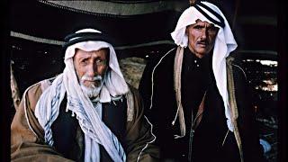 DNA Test Results of Negev Bedouin from Israel