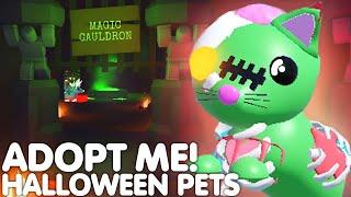 *NEW* HALLOWEEN PETS EVENT 2024 ADOPT ME ALL NEW HALLOWEEN PET IDEAS CONCEPTS ROBLOX