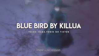 Blue Bird by Killua by Kags.Tobio