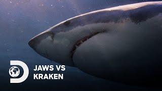 Battle of the Oceans Beasts  Jaws vs Kraken
