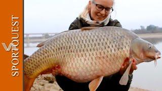 Wild Carp Fishing Adventures on the River Ebro Spain 