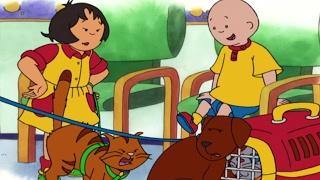 Animated Cartoons  Caillou Full Episodes HOUR LONG Caillou goes to School