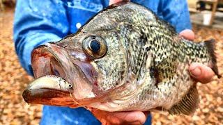 A Bobber & Live Minnow Setup That Crappie Cant Resist