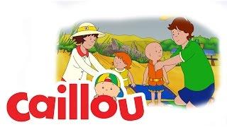 Caillou - Backyard Zoo   S02E17  Cartoon for Kids