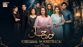 Noor Jahan - OST  Yashal Shahid  ARY Digital