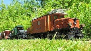 Meine LGB Gartenbahn 2014