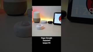 Notifikasi Suara Google Assistant tanpa Home Assistant #mrbibbo #biotasmarthome