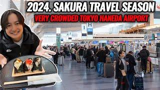 Spring Travel Situation Update from Tokyo Haneda Airport Special Airport Onigiri Rice Ball  Ep.474