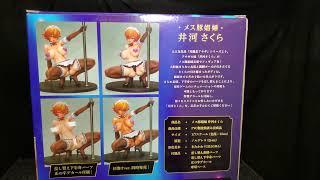 Taimanin Asagi Battle Arena Igawa Sakura 17 Q six Figure Review & Unboxing