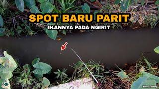 EXPLORE SPOT BARU  Mancing Ikan Wader Di Parit Sawah